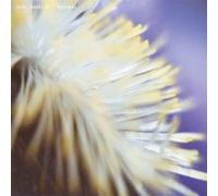 Dimi Angelis - NECH034 [Vinyl LP]