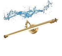 Dimmable Led Mirror Light Image Lumière Salle Den, Lampe de Salle Den Lampe de Lecture Au Bord Du Lit Lumière Imperméable Lampe Murale Anti-Brouillard Pour L'Étude Des Salles Dens, Laiton/7W/48Cm