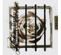 Dimmi Che Mi Ami by LOREDANA BERTE (2002-01-01)