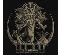 Dimmu Borgir - Puritanical Euphoric Misanthropia