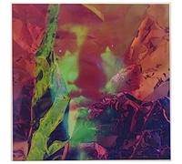Dimorphodons - Searching For Dimorphodons [12-Inch Single]