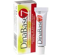 Dinabase 7 Rebasage Dentaire Fixatif Version França Nouvelle Présentation8