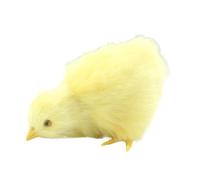 Dinchaakuarry Chick Plush Toy - Realistic Simulation Chicken Doll Soft Furry Animal Figure Model Cute Companion Detailed Craft Design for Kids Learning Display Bedroom Living Room Collection |
