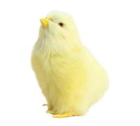 Dinchaakuarry Chick Plush Toy - Realistic Simulation Chicken Doll Soft Furry Animal Figure Model Cute Companion Detailed Craft Design for Kids Learning Display Bedroom Living Room Collection |