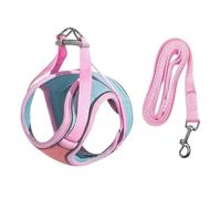 Dinchaakuarry Harnais et laisses pour petits chiens, harnais et laisses pour chat réglables avec bandes réfléchissantes, harnais confortable pour chat pour la randonnée, les activités intérieures et