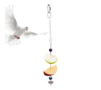 Dinchaakuarry Mangeoire pour cage à oiseaux - Distributeur de nourriture en acier inoxydable pour petits animaux, brochette de fruits et légumes