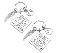 dinghaole 2 Pièces Porte-clés Commémoratif pour Animal de Compagnie, Souvenir du Chien ou du Chat de la Famille, Porte-clés Souvenir pour Animal de Compagnie, Cadeau Commémoratif des Chiens