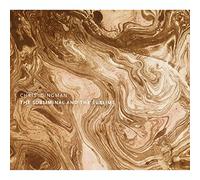 Dingman Chris - Subliminal & the Sublime