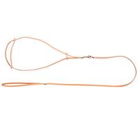 Dingo 10701 Laisse en Cuir Naturel pour Exposition et Spectacle de Chien