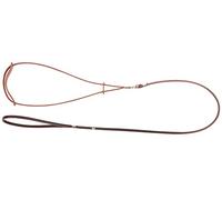 Dingo 10706 Laisse en Cuir Marron pour Exposition et Spectacle de Chien