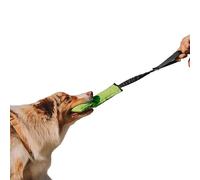 Dingo Agility Jouet pour Chien, Entraînement, Récupération, Sports, Jouet de Traction Léger et Flottant, Vert avec Noire Poignée Élastique, 27 x 8 cm (15597)