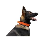 Dingo Gear Collier pour Chien en Cuir Drago, Amorti avec Poignée Solide, Fait Main, Tour de Cou 40-48 cm, pour Dressage et Promenades, Protection Anti-Traction, Doublure Souple, Orange (S03912)