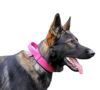 Dingo Gear Collier pour Chien en Cuir Drago, Amorti avec Poignée Solide, Fait Main, Tour de Cou 48-56 cm, pour Dressage et Promenades, Protection Anti-Traction, Doublure Souple, Rose (S03919)