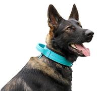 Dingo Gear Collier pour Chien en Cuir Drago, Amorti avec Poignée Solide, Fait Main, Tour de Cou 56-64 cm, pour Dressage et Promenades, Protection Anti-Traction, Doublure Souple, Bleu (S03923)