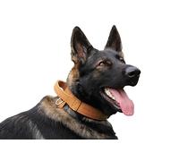 Dingo Gear Collier pour Chien en Cuir Drago, Amorti avec Poignée Solide, Fait Main, Tour de Cou 56-64 cm, pour Dressage et Promenades, Protection Anti-Traction, Doublure Souple, Marron (S03920)