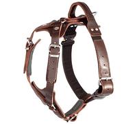 DINGO GEAR Elite Harnais pour Chien fabriqué à la Main en Cuir véritable, Durable et Robuste, adapté pour Les promenades du Chien, Le Dressage, K9, IGP et l'entraînement Militaire, Taille M, Marron