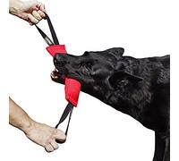 Dingo Gear IGP & Fun Jouet à mâcher en nylcot pour Dressage de Chien 2 poignées Rouge 28 x 7 cm