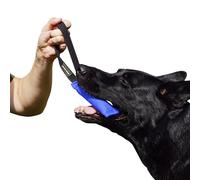 Dingo Gear K9 IGP & Fun Jouet à mâcher en nylcot pour Dressage de Chien Bleu 15 x 5 cm