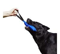 Dingo Gear K9 IGP & Fun Jouet à mâcher en nylcot pour Dressage de Chien Bleu 20 x 7 cm