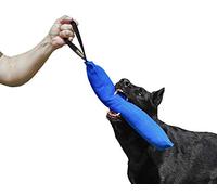 Dingo Gear IGP & Fun Jouet à mâcher en nylcot pour Dressage de Chien Bleu 45 x 8 cm