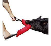 Dingo Gear IGP & Fun Jouet à mâcher pour Chien en nylcot avec 2 poignées Rouge 45 x 8 cm