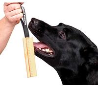 Dingo Gear Jouet de Traction pour Chien en Cuir Grainé Beige Cousu Main avec Poignée en Polypropylène Solide pour Entraînement K9 IGP Agilité Jeu - 15 x 4,5 cm, Beige Coffee Latte (S00231)