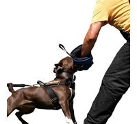 Dingo Gear Mini Manchette de Morsure en Nylcot Souple avec Poignée et Prise, Protection de Morsure pour IGP, K9, Sports Canins, Chiots, Formation de Jeunes Chiens, Bleu, Niveau 1 - Débutant (S01962)