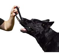 Dingo Gear Nylcot Bite Tire-Chien pour Dressage K9 IGP & Fun 1 poignée Noir 15 x 5 cm