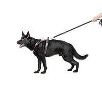 Dingo Gear Predator Harnais élégant en Cuir véritable pour Chien, fabriqué à la Main, raccords chromés, poignée Courte, réglable, Bronze Fin, Taille L (S02-18)