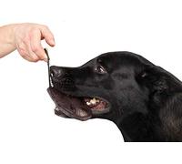 Dingo Gear S00227 Jouet en Cuir véritable Fait à la Main pour Dressage et Jeu de Chien Chocolat