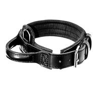 Dingo Gear S04022 Collier pour Chien en Cuir Drago Amorti avec poignée Large et Solide - Tour de Cou de 56 à 64 cm - pour Dressage et promenades - Protection Contre Les tractions - Rembourrage Doux -