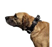 Dingo Gear S04024 Collier avec poignée pour Chien Motif Drago Noir Taille L