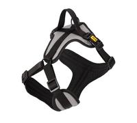 Dingo Harnais pour chien Active Aspen - Rembourré - Réglable - Anti-pression - Avec poignée - Clip avant - Pour chien - Taille XS - 14934