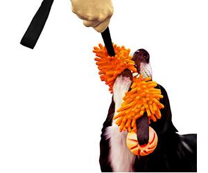 Dingo Jouet de Tug Flottant avec Balle Aromatisée, Poignée Bungee, Chasseur de Chien Fait Main, Le Tir à la Corde pour l'Agilité, Le Rapport, Jouer dans l'eau, Microfibre Orange 15586-2