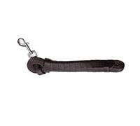 Dingo Laisse d'entraînement avec Bande Polypropylène, 1.6 cm X 2.5 m, Kaki