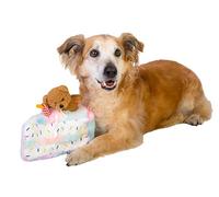 Dingo Waldemar Rutkowski Jouet en Peluche pour Chien - Petit Gâteau avec Ourson et Chapeau d'anniversaire, avec des Couineurs à l'Intérieur (Z30045)