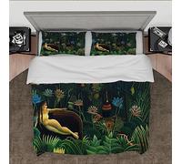 DINGSION Henri Rousseau Style Housse de Couette Set 3 Pieces The Dream, 1910 Ensemble de literie en Microfibre Respirante pour Chambre à Coucher avec Fermeture éclair 2 oreillers Shams 260 x 240 cm