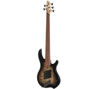 Dingwall Dingwall CB3 Combustion 5 BK Burst PF