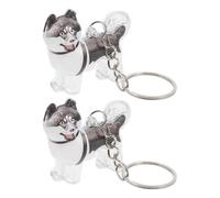 DINHEAROM 2 Pièces Boîte à Souvenirs pour Poils Animaux Porte-clés de Rangement pour Poils Animaux Mémorial