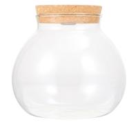 DINHEAROM Bocal Terrarium Verre Transparent avec Couvercle Liège Station de Propagation Hydroponique pour Plantes Vase Clair Décoratif pour Bureau et Intérieur