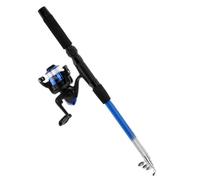 DINHEAROM Canne à Pêche Télescopique Ensemble Complet en Acier Inoxydable et Plastique Force Élevée et Longueur Ajustable 1 Set pour Pêche Glace en Extérieur