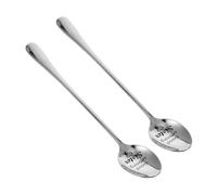 DINHEAROM Cuillères à Dessert Argenté Finition Miroir en Acier Inoxydable Lot de 2 Design Ergonomique et Style Luxueux pour Ustensiles Cuisine