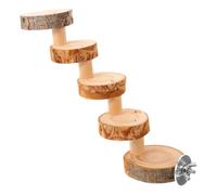 DINHEAROM Wooden Hamster Climbing Ladder Toy Exercise Ramp for Hamsters and Chinchillas Encourages Coordination and Fun Playtime Activities