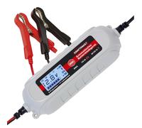 Dino Chargeur de Batterie Set Puissant 6V/12V-4A Erhaltungsladerät Avec Testeur