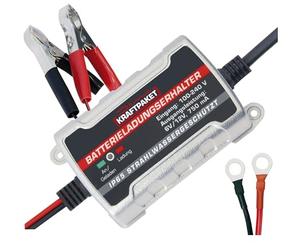 Dino Power Pack de 6 V/12 V 750 mAh Chargeur automatique pour Batterie