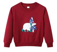 Dinopjs Pullover pour garçons, Sweats chauds pour garçons, Animaux de dessin animé classiques, Tracteur, Dino, Dragon volant Chevalier, Arc-en-ciel, Ours polaire Sapin de Noël, T-shirts de sport en
