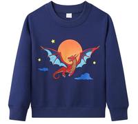 Dinopjs Pullover pour garçons, Sweats chauds pour garçons, Dessin animé classique animaux, tracteur, dinosaure, dragon volant chevalier, arc-en-ciel, ours polaire arbre de Noël, t-shirts de sport en
