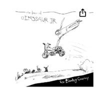 Dinosaur Jr - Ear Bleeding Country: the Best