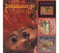 Dinosaur Jr - Fossils