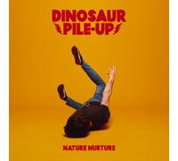 Dinosaur Pile-Up - Nature Nurture